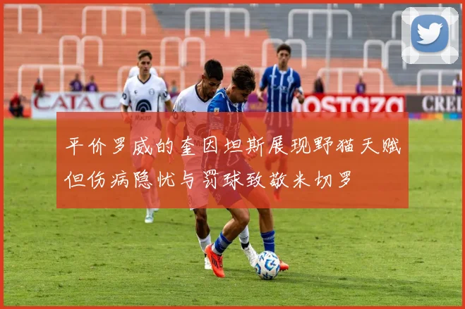 平价罗威的奎因坦斯展现野猫天赋但伤病隐忧与罚球致敬米切罗